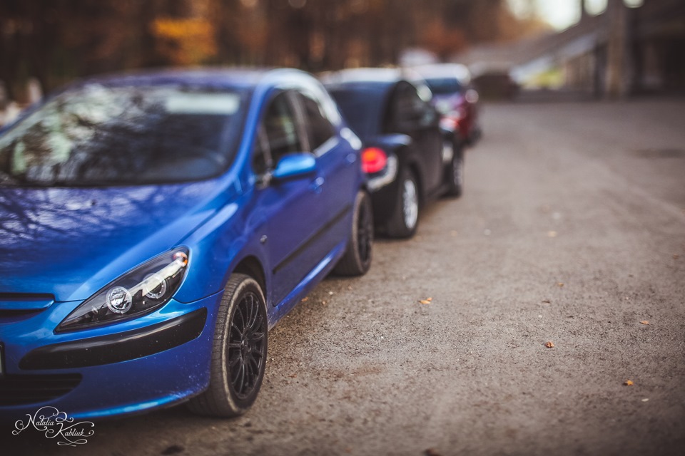 Peugeot 307 & New Beetle 2