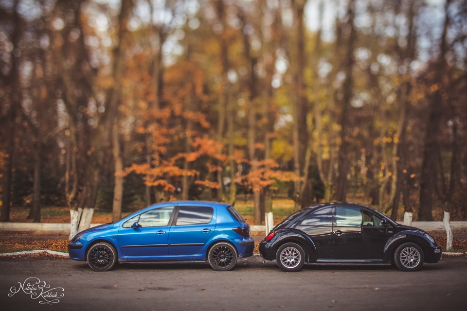 Peugeot 307 & New Beetle 1