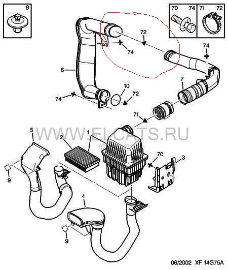Підтікання масла + синій дим 2.0 HDI 1