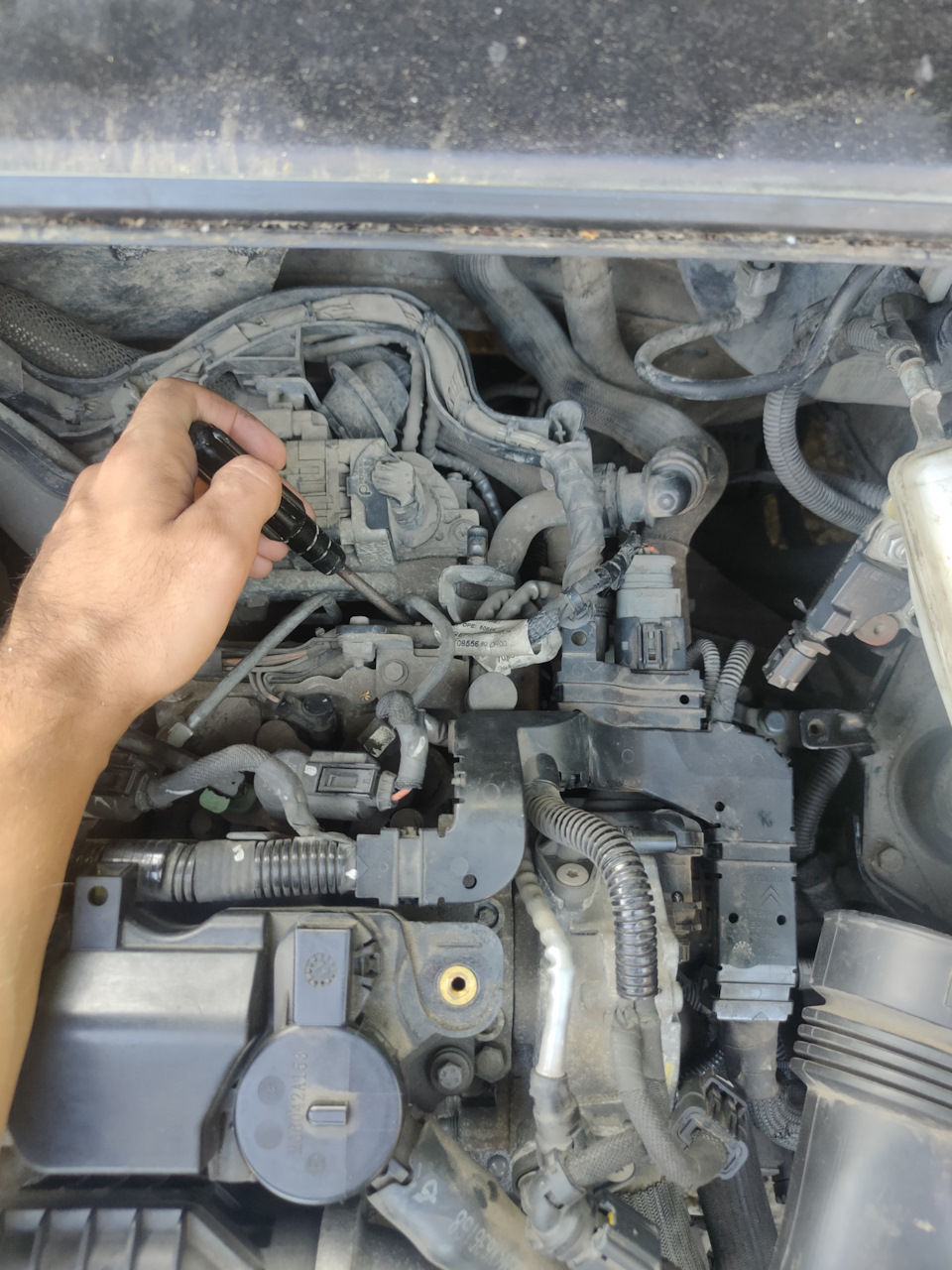 Помилка P1352 і довгі муки 5
