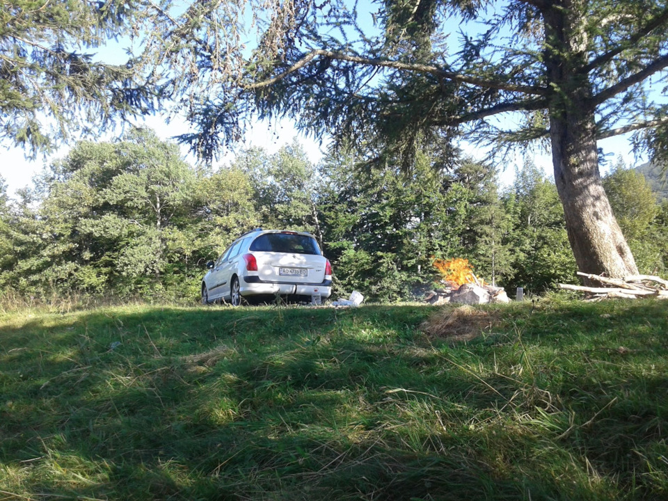 вибір авто 1