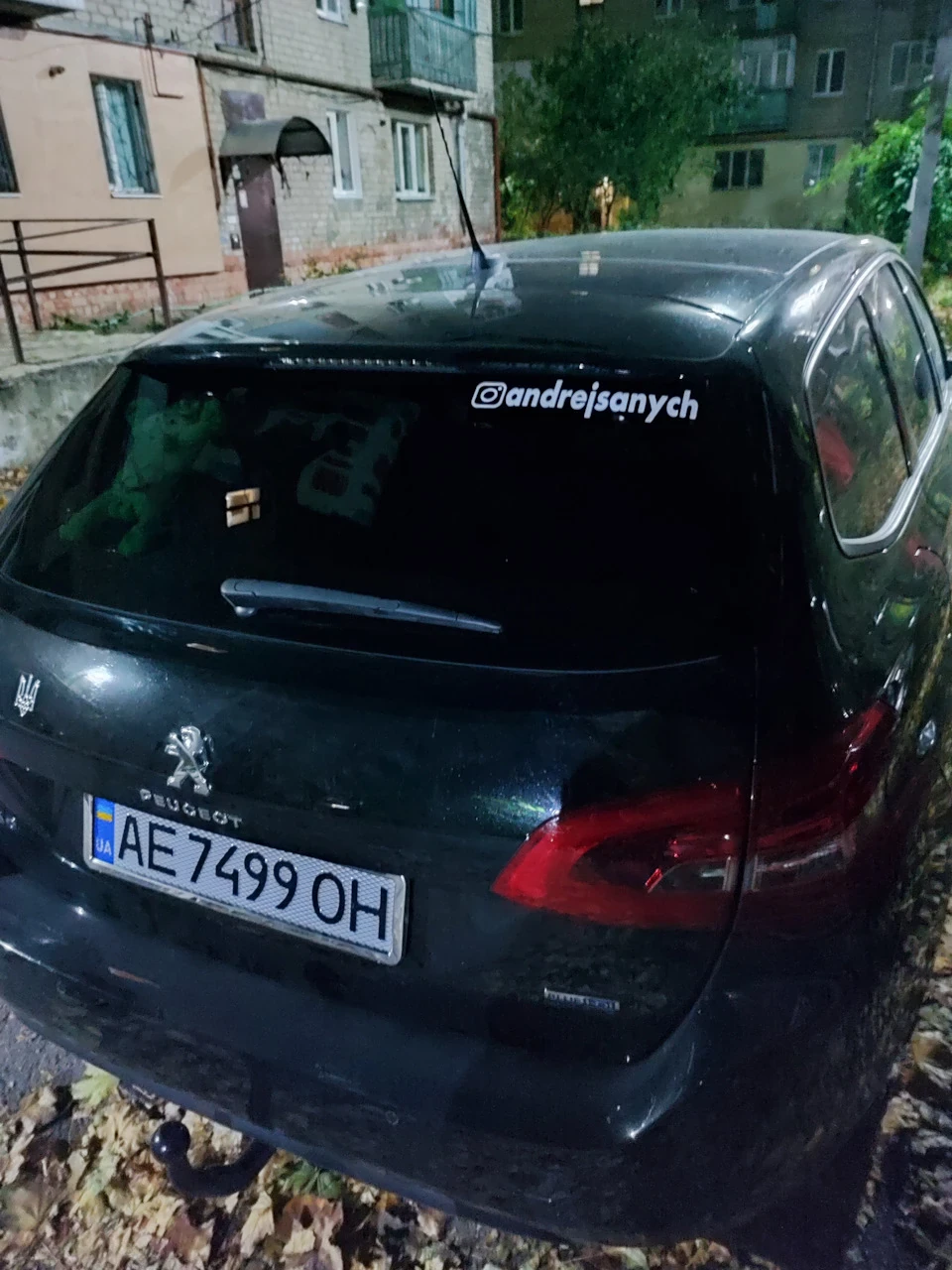 Мухобійка та вітровики