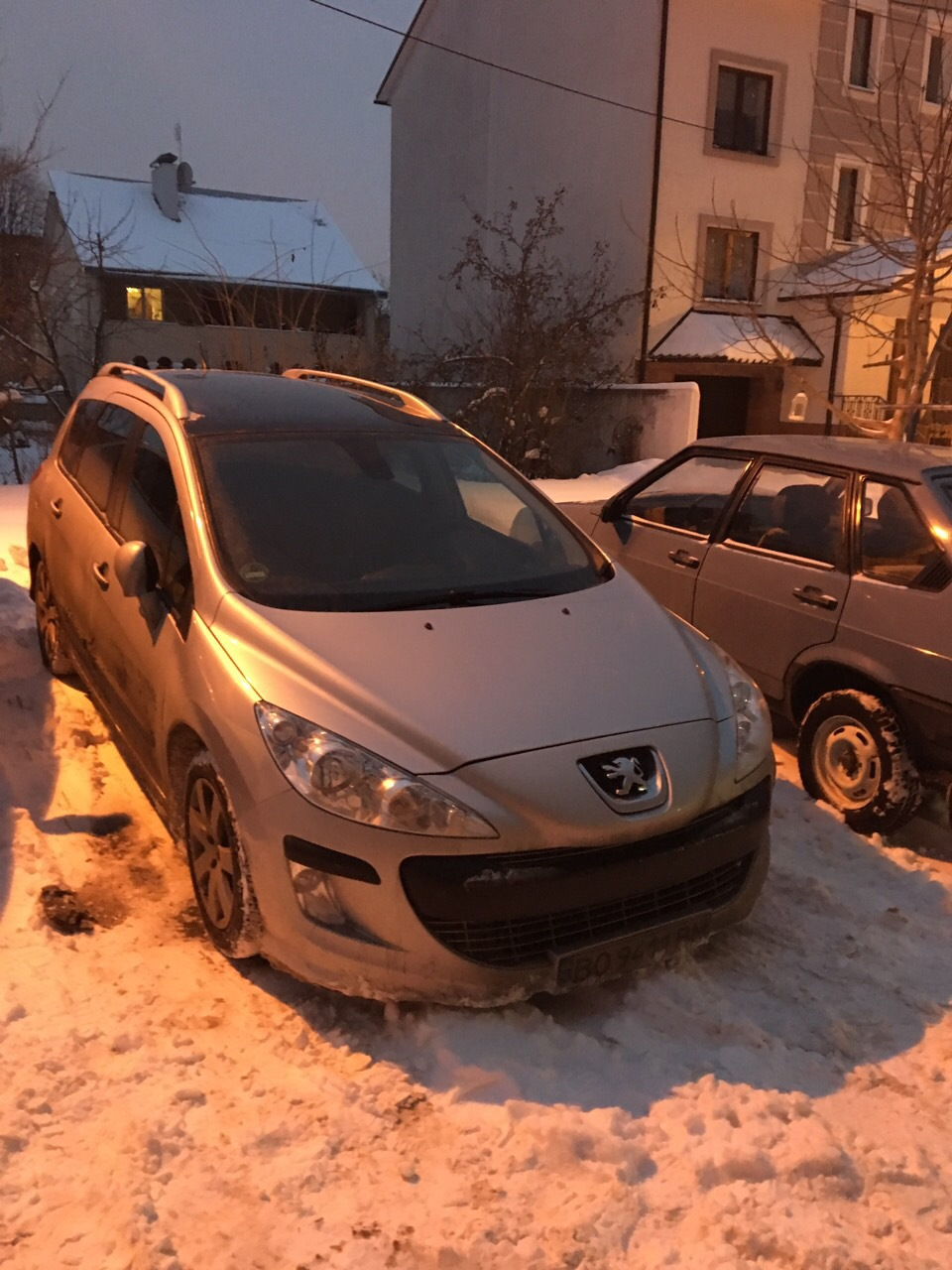 Левеня на подвір‘ї 1