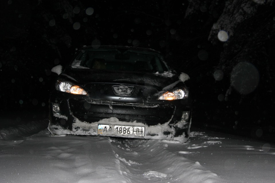 Весна буйствує))) 3
