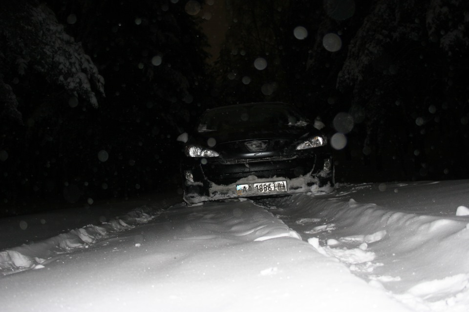 Весна буйствує))) 4