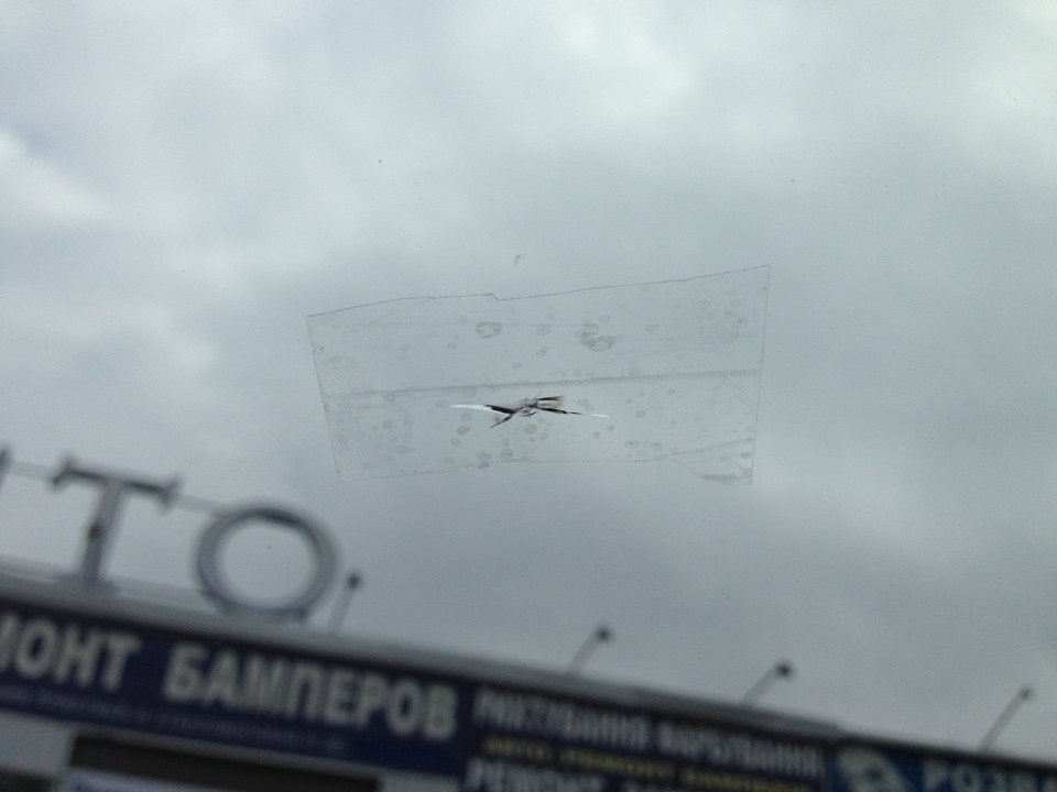 Сколи на лобовому. 1