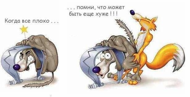 ALPINE всьому голова!) 5