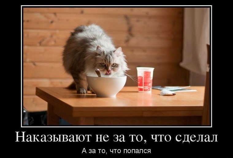 автозвук) 5