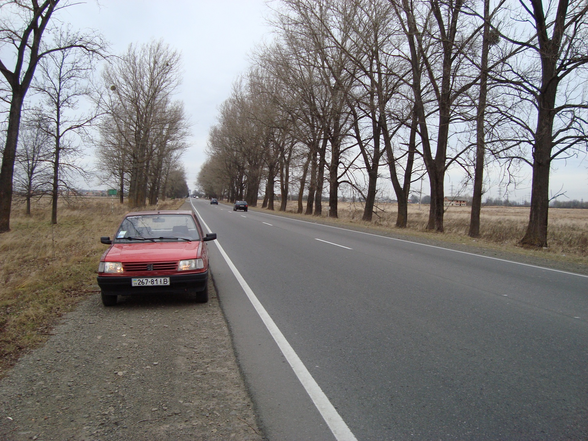 Поїздка у Львів 3