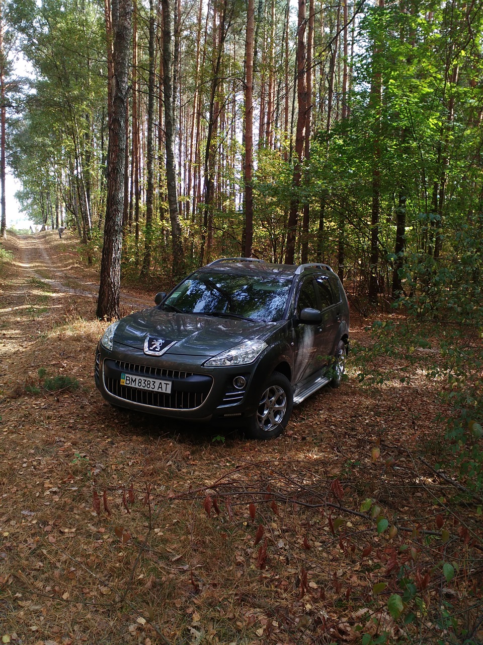 Осінь Осінь 4