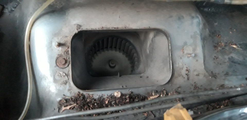 Альпійська свіжість 2