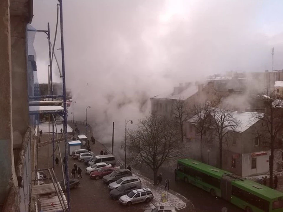 Пижик у тумані