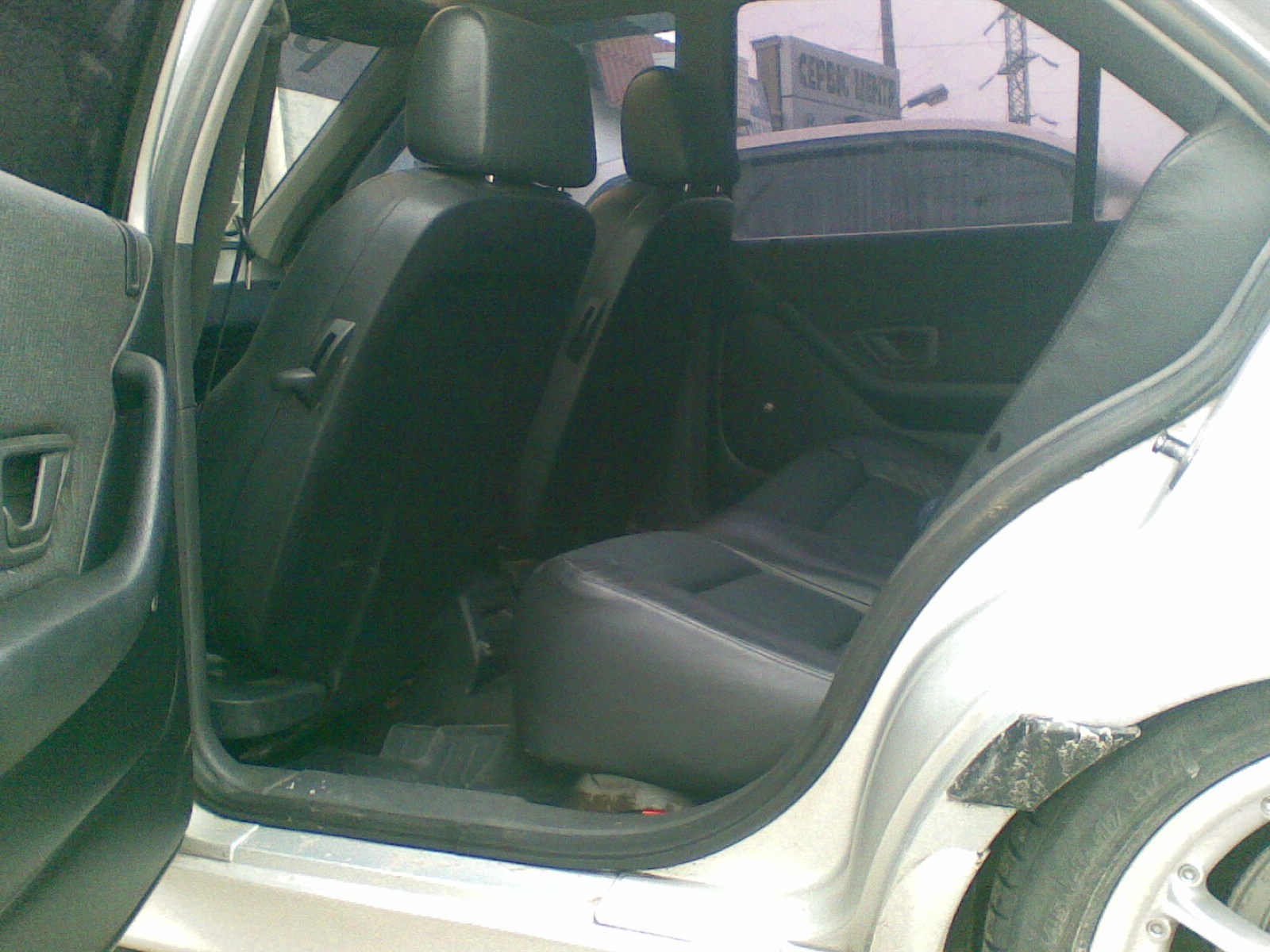 мій пиж, 2003-2010 5