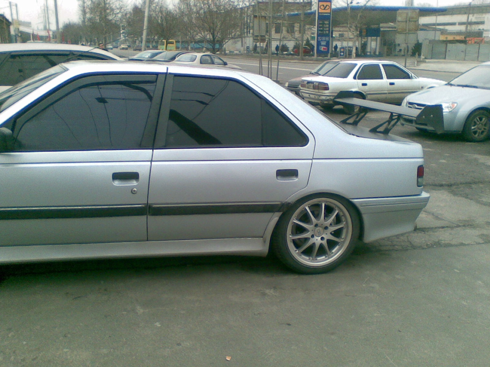 мій пиж, 2003-2010 2