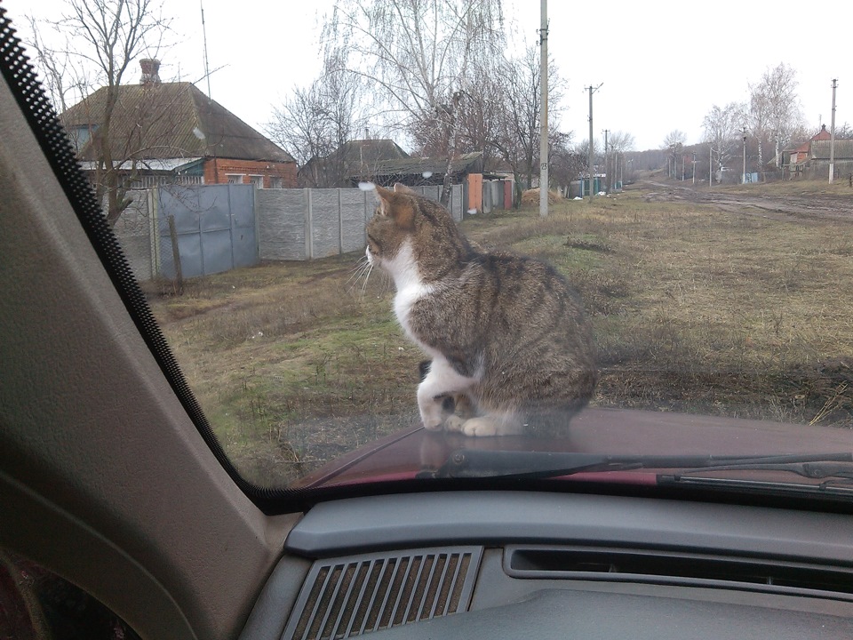 Позитивник! 4