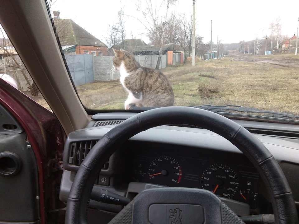 Позитивник! 5
