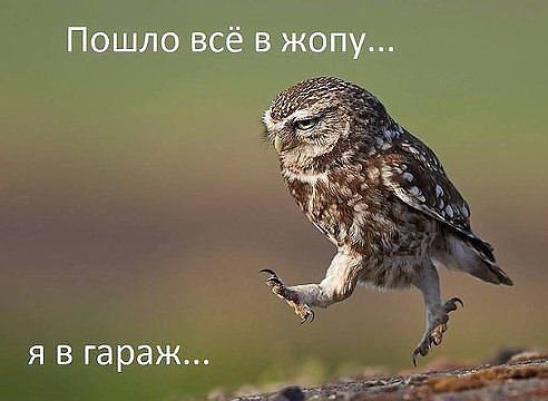 Бачили! 2