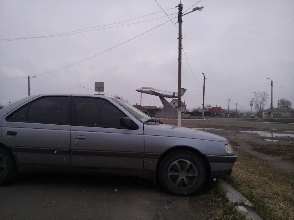 Звірятко моє повністю. 2