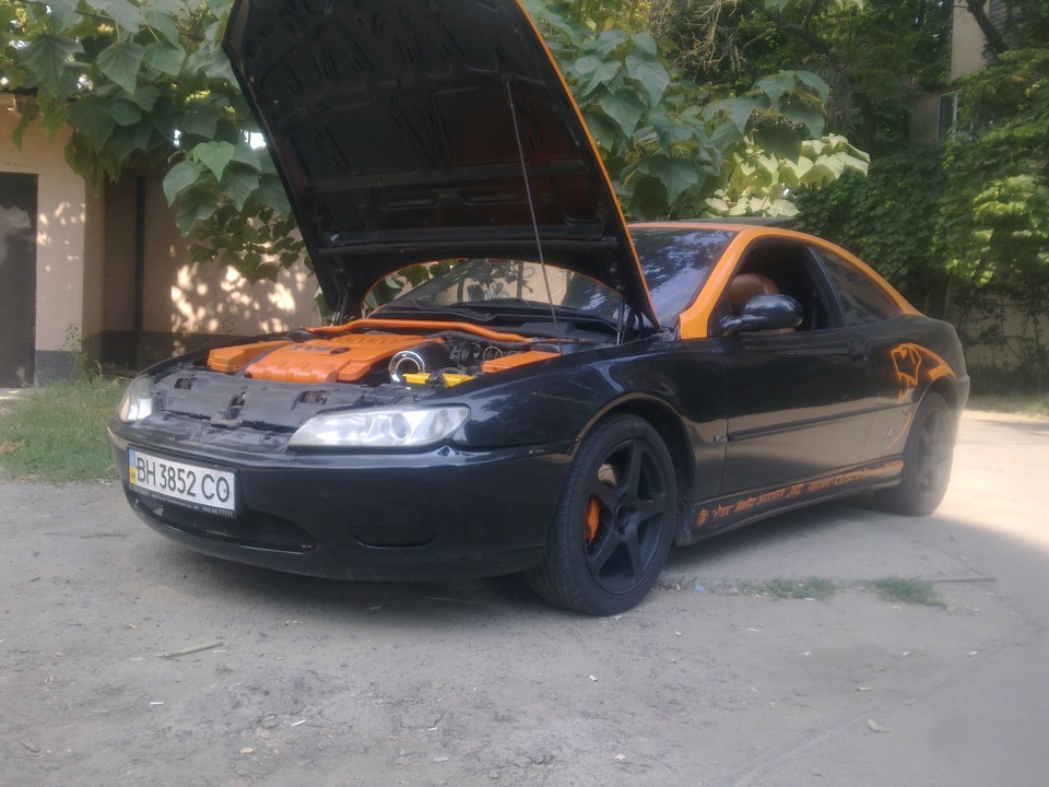 Самець) 2