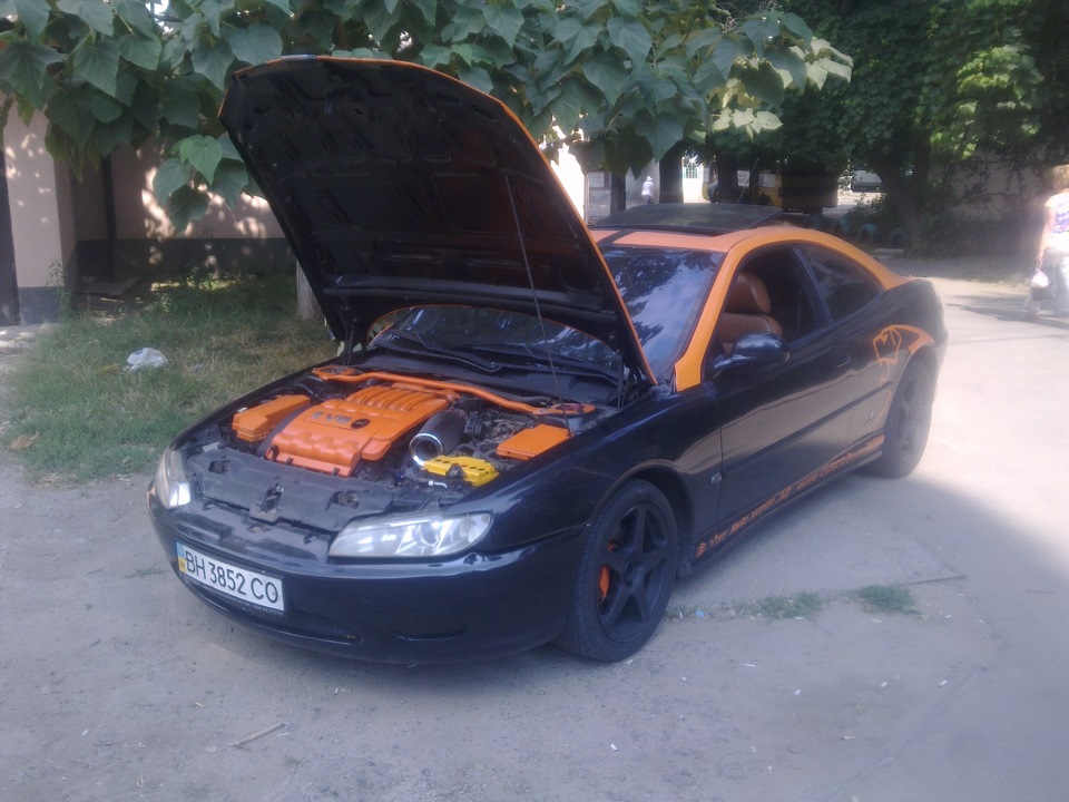 Самець) 1