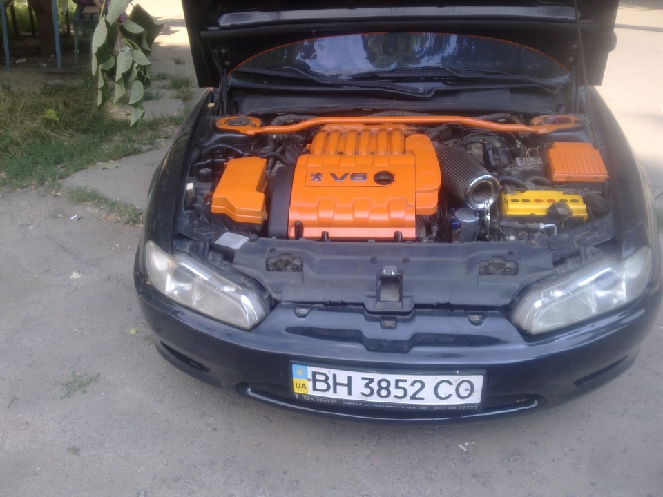 Самець) 4