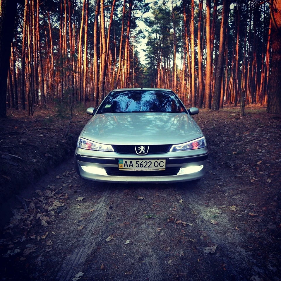 Лісові фотки