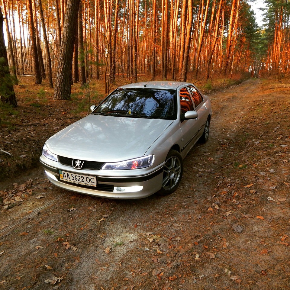 Лісові фотки 4
