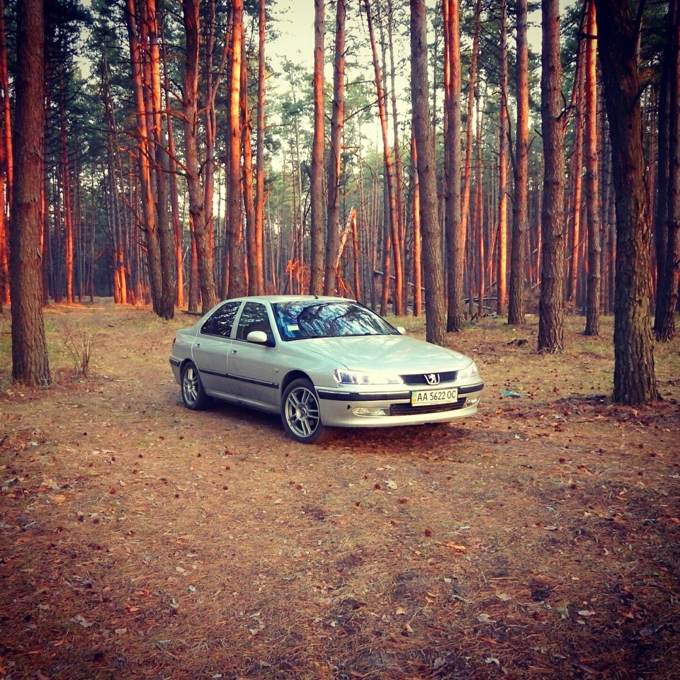 Лісові фотки 3