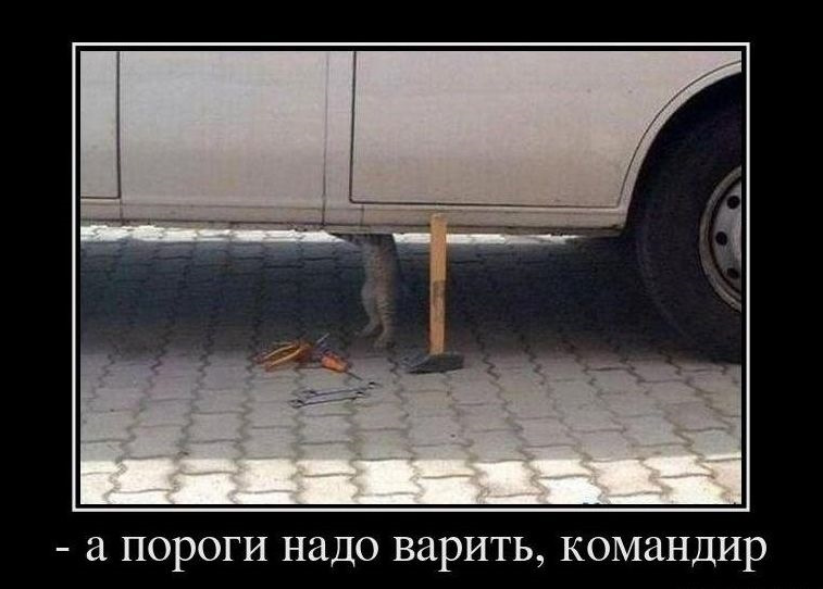 Які фірми пороги купити? 1