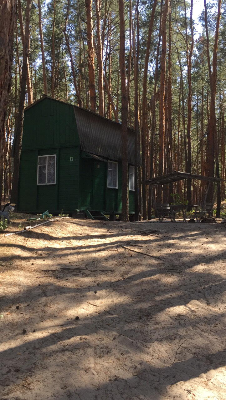 Відпочинок+ пару фото та думок. 2