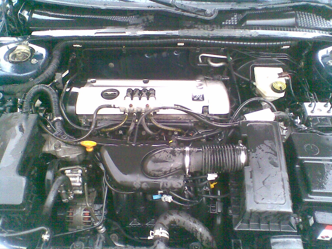 Запис, 9 травня 2010 1