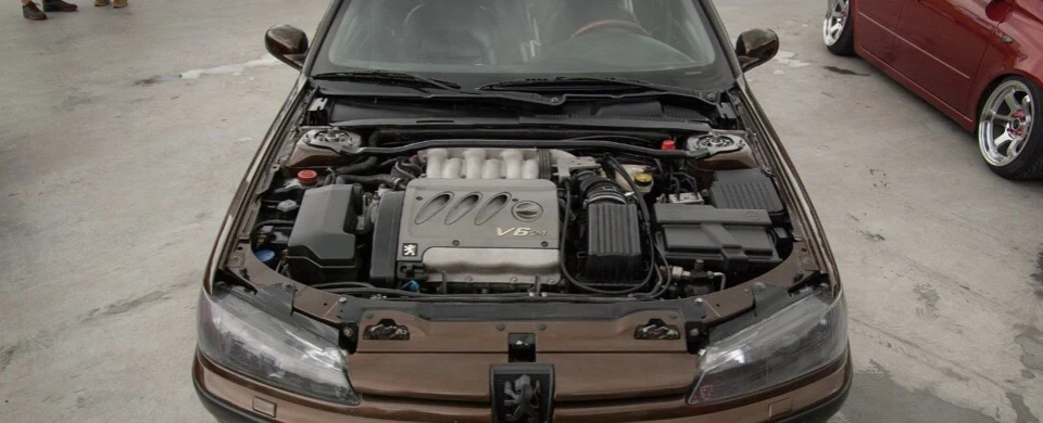 V6 у Звіра