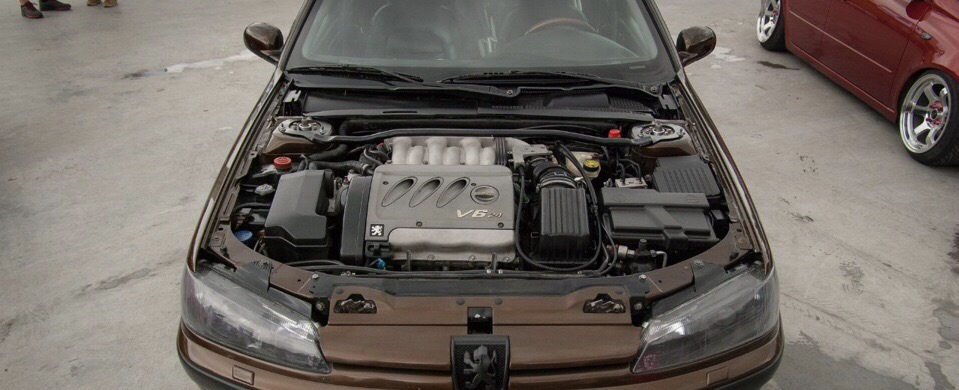 V6 у Звіра 1