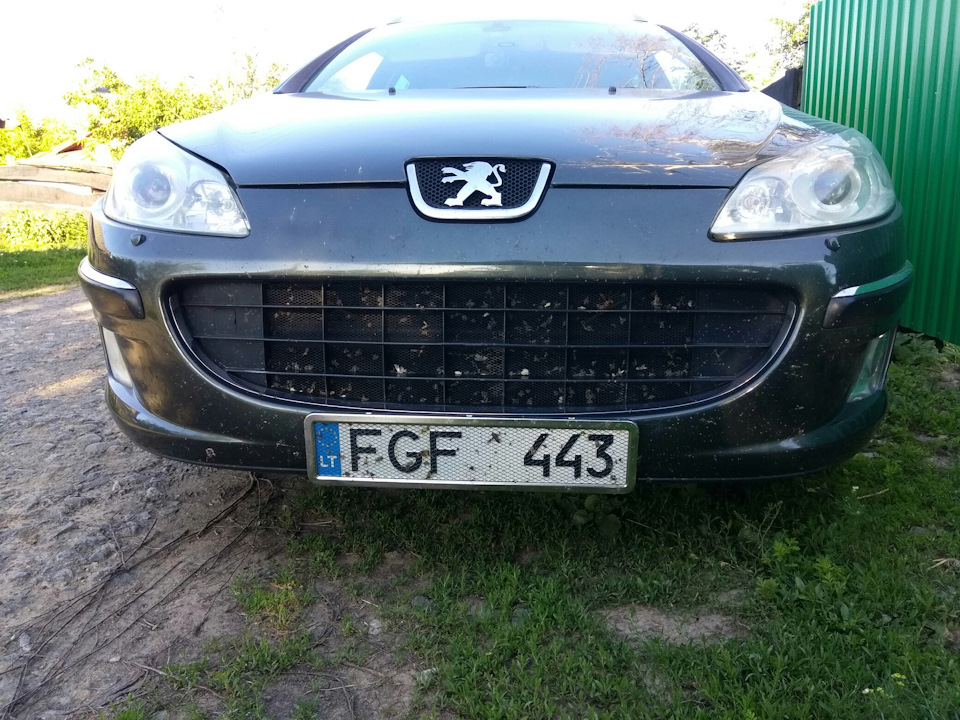 Сітка в бампер 1
