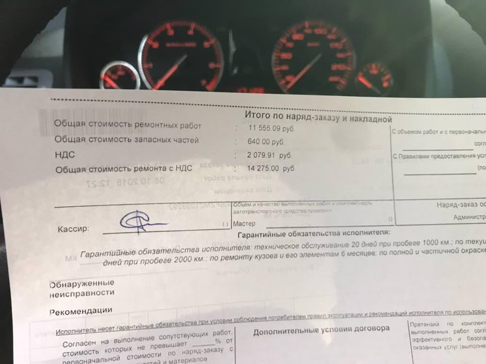 Машині рік, враження, спостереження та підготовка до Зими. 3