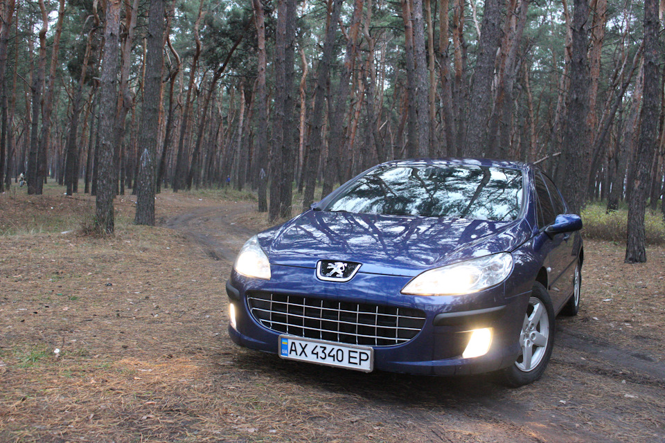 Міні фотосесія Пижа 4