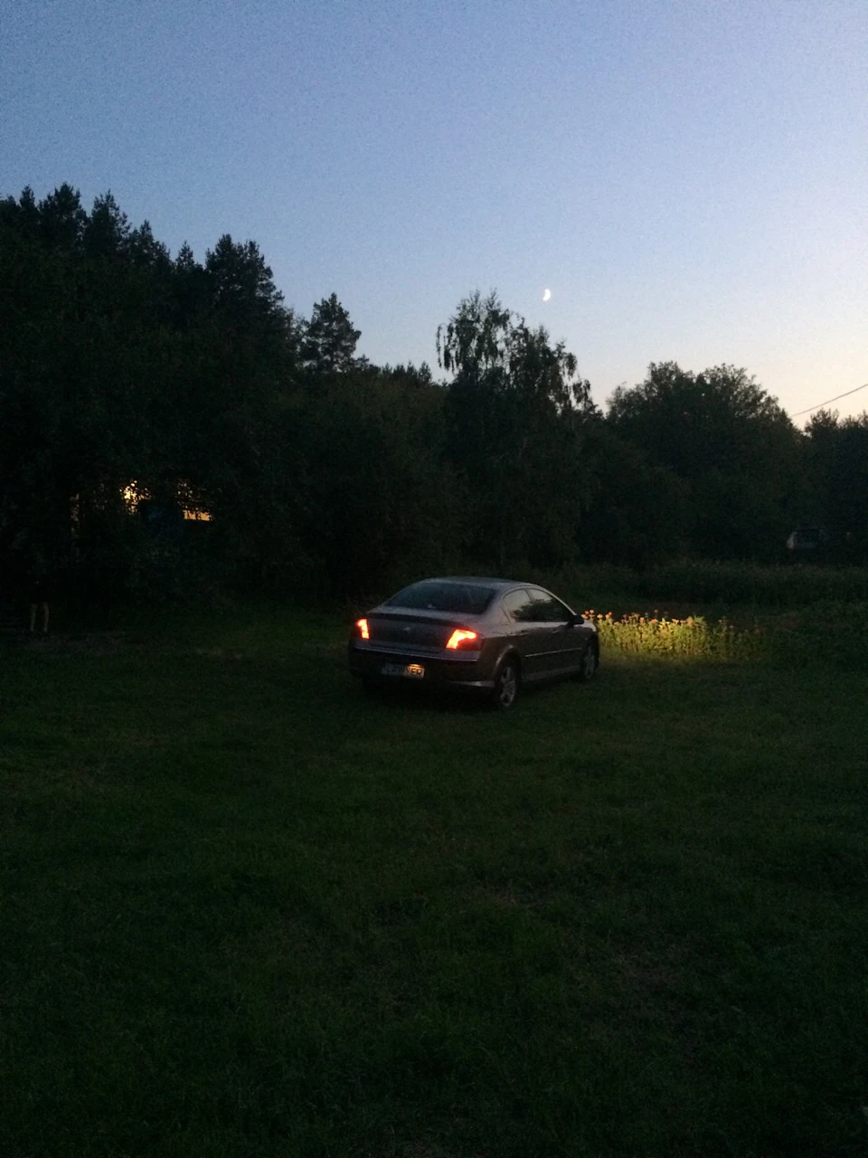 Місяць, село, Пежо