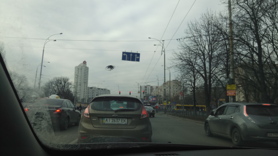 Неприємний подарунок від піоболи, мера-боксера ... 1
