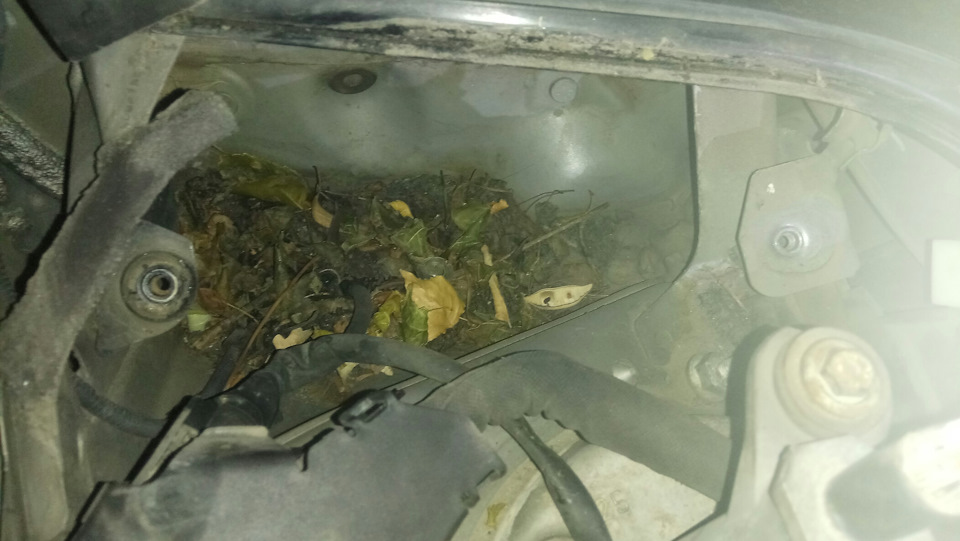 Планове ТО + AL4 з новим маслом 5
