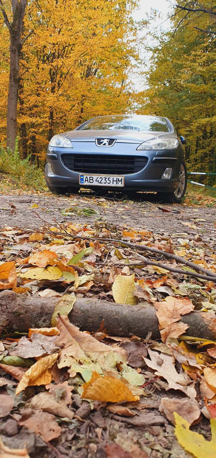 Осінь 3