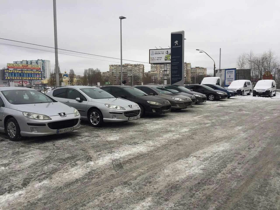 ПижРух зібралися випити КАВИ