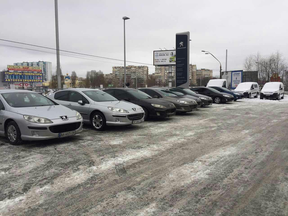ПижРух зібралися випити КАВИ 1