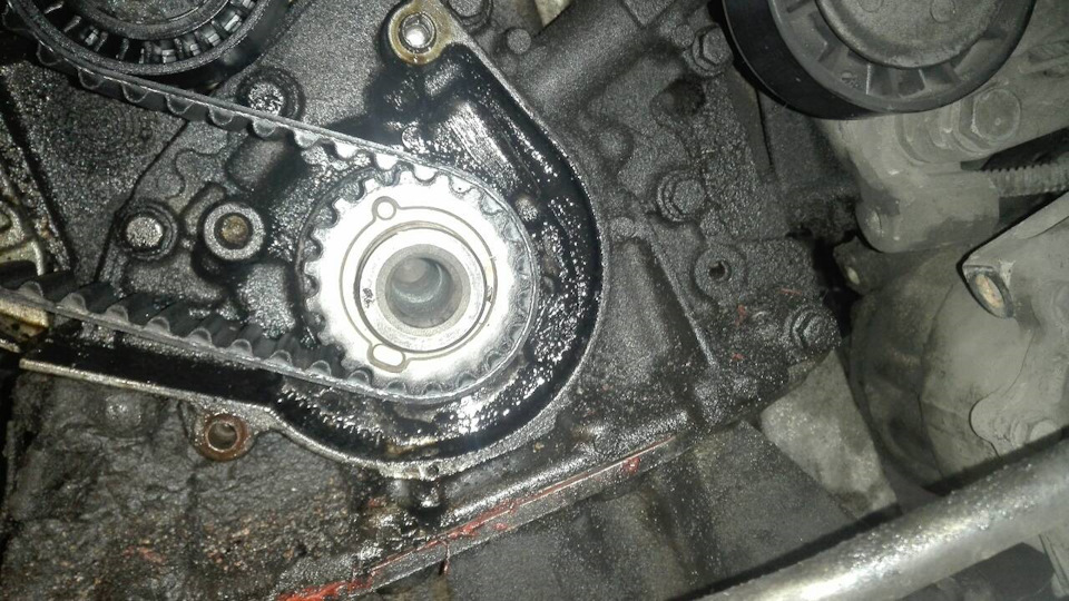 ТО (ГРМ, ролики, сальники) із заміною піддону картера двигуна 2