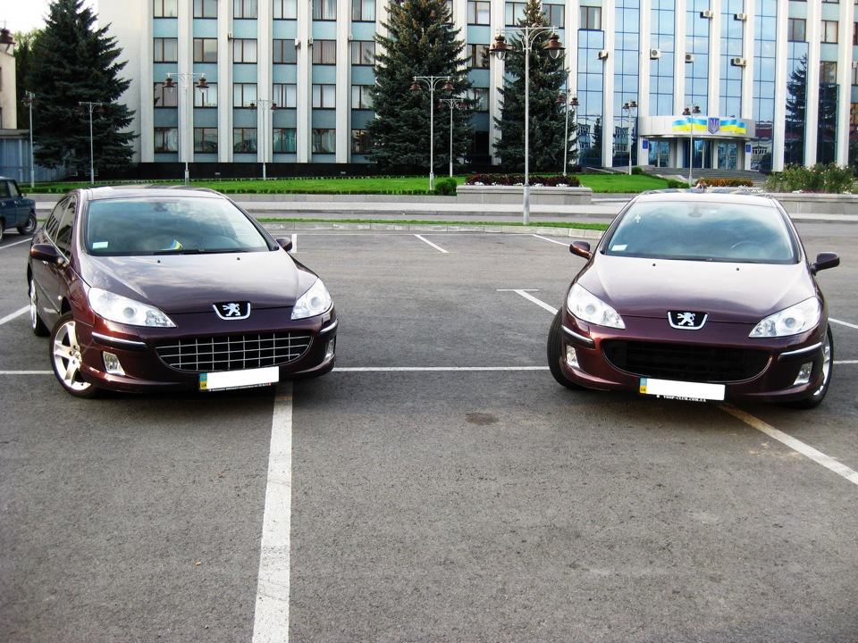 Фотосесія двох Peugeot 407 4