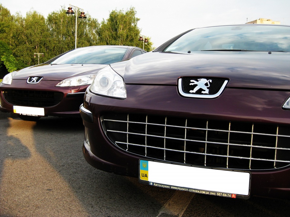 Фотосесія двох Peugeot 407 3