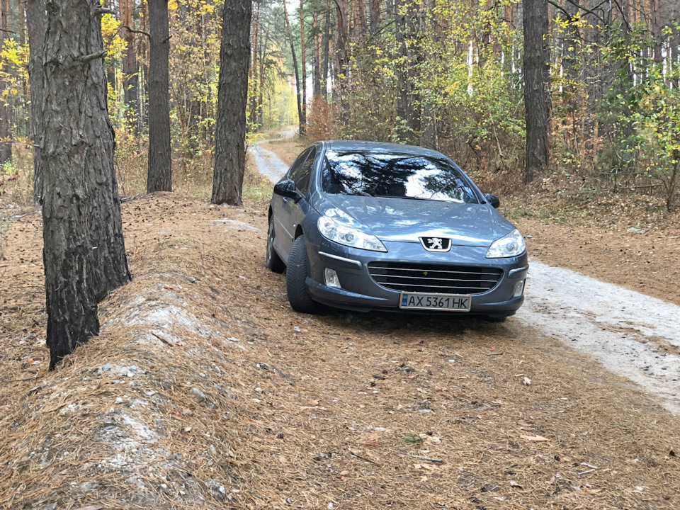 Чистка лінз фар, нові лампи +150%, тонування лобового скла. 1