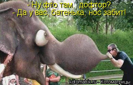 Видалення фільтра сажі 1.6 HDI 2