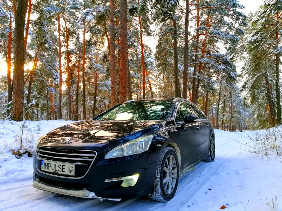 Засніжений хвойний ліс і зимова 508я 3