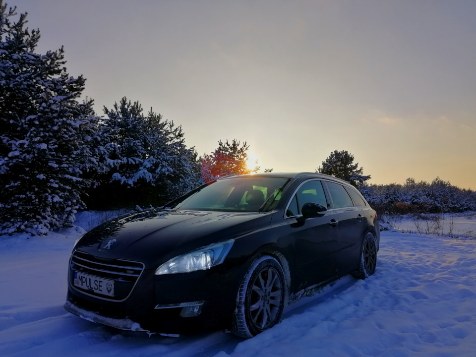 Засніжений хвойний ліс і зимова 508я 5