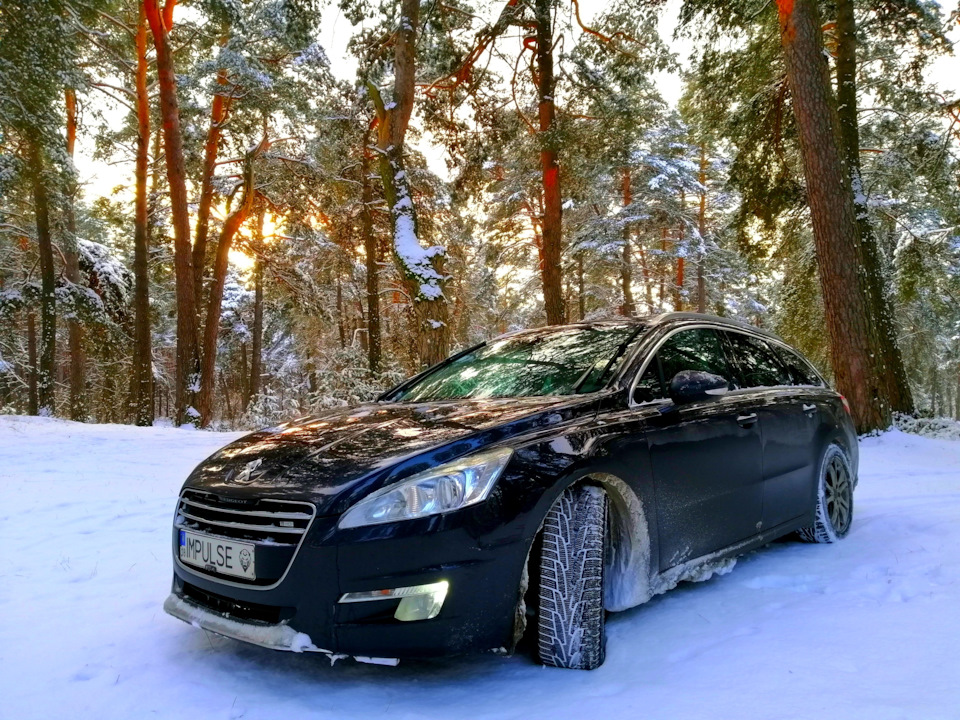 Засніжений хвойний ліс і зимова 508я 1